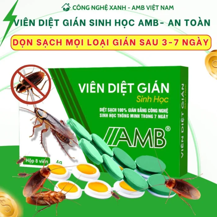 Thuốc diệt gián sinh học AMB có thực sự hiệu quả như lời đồn 2026?
